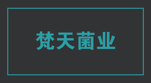 食品行业连云港连云区工作服设计款式